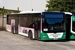 HI-JB 1175 J. Bernhardt